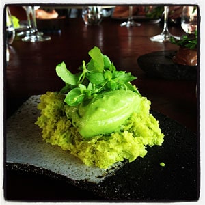 La Grenouillère, restaurant Pas-de-Calais - Herbes grasses