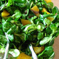 Salade_de_mache_a_l_orangeC Salade de mâche à l'orange, vinaigrette au pavot (Lorette)