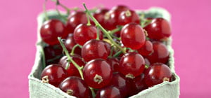 Les recettes aux groseilles
