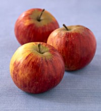 Quelle variété de pommes choisir selon la cuisson : pommes à cuire ou à croquer ?