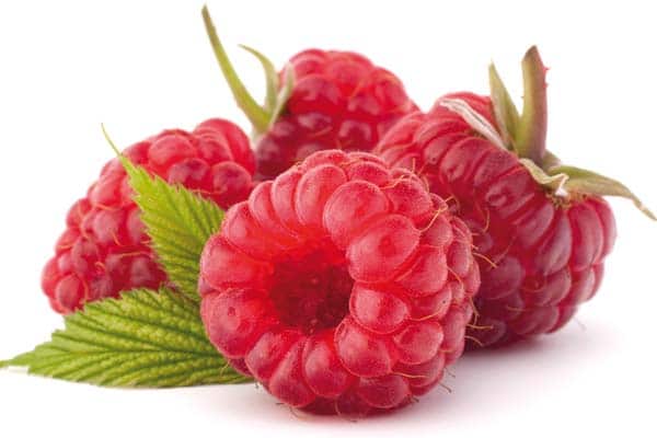 Framboises