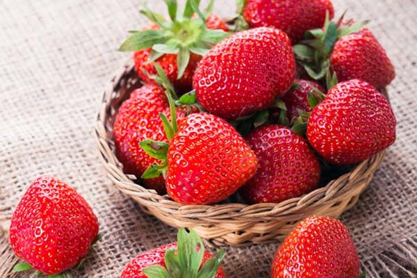 Fraises