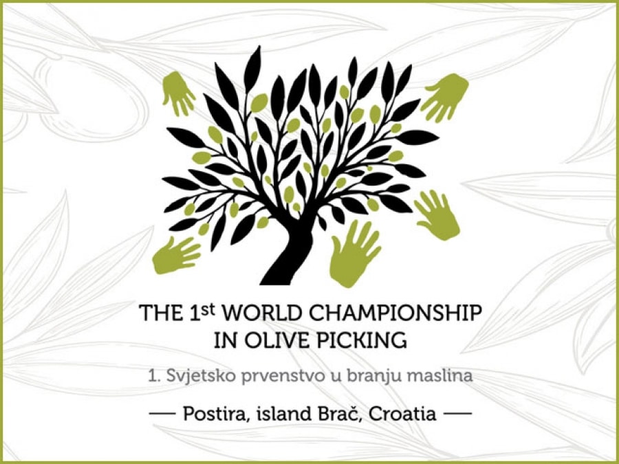 First championship in olive picking