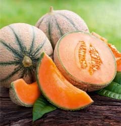 Les recettes au melon
