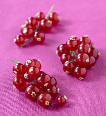 Les recettes aux groseilles