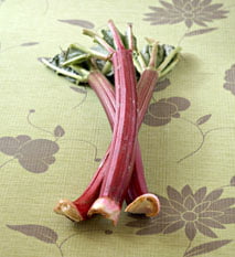 Les recettes à la rhubarbe